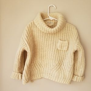 Zara Chunky Sweater